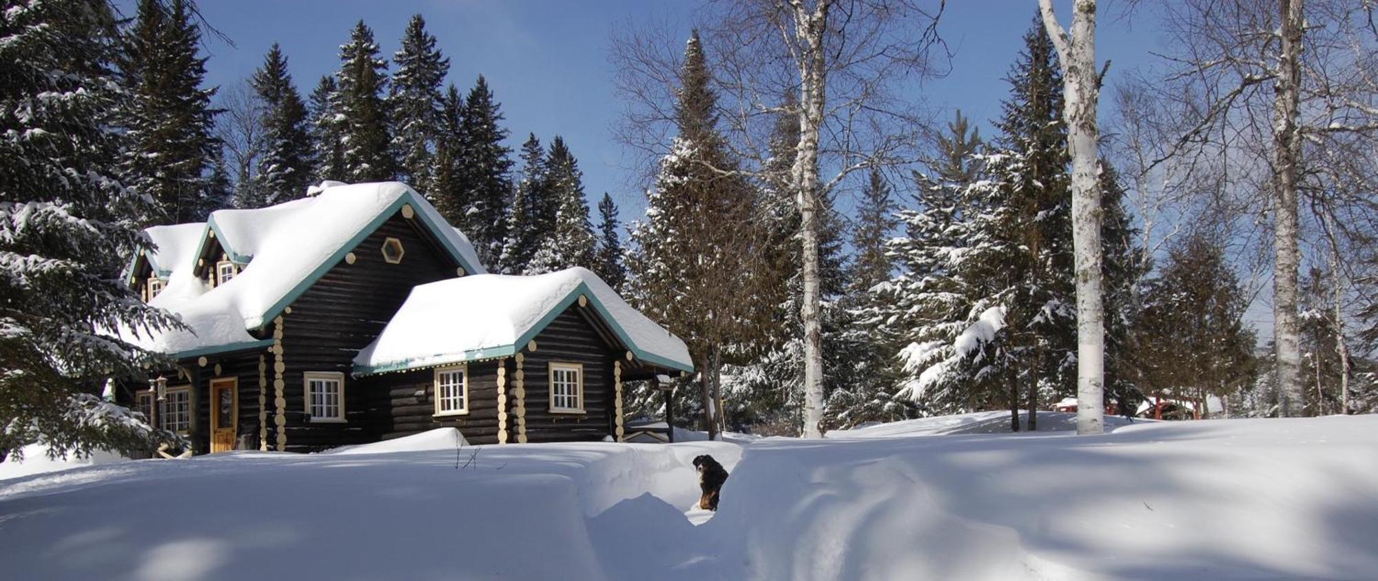 Domaine Le Bostonnais - Le Village En Bois Rond La Tuque Exterior photo